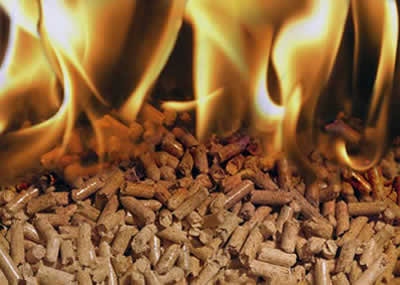 Energietechnik Danhofer - Biomasseheizungen